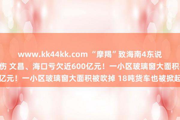 www.kk44kk.com “摩羯”致海南4东说念主遭难、95东说念主受伤 文昌、海口亏欠近600亿元！一小区玻璃窗大面积被吹掉 18吨货车也被掀起