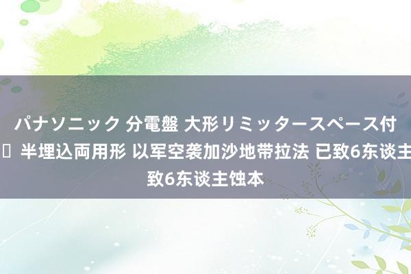 パナソニック 分電盤 大形リミッタースペース付 露出・半埋込両用形 以军空袭加沙地带拉法 已致6东谈主蚀本