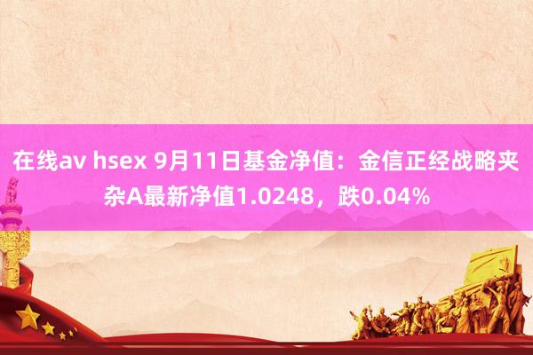 在线av hsex 9月11日基金净值：金信正经战略夹杂A最新净值1.0248，跌0.04%