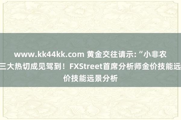 www.kk44kk.com 黄金交往请示:“小非农”领衔三大热切成见驾到！FXStreet首席分析师金价技能远景分析