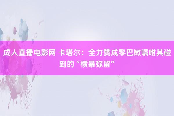 成人直播电影网 卡塔尔：全力赞成黎巴嫩嘱咐其碰到的“横暴弥留”