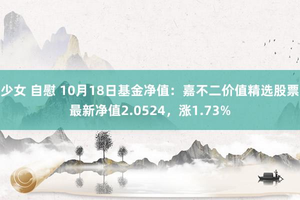 少女 自慰 10月18日基金净值：嘉不二价值精选股票最新净值2.0524，涨1.73%