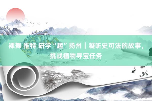 裸舞 推特 研学“趣”扬州︱凝听史可法的故事，挑战植物寻宝任务