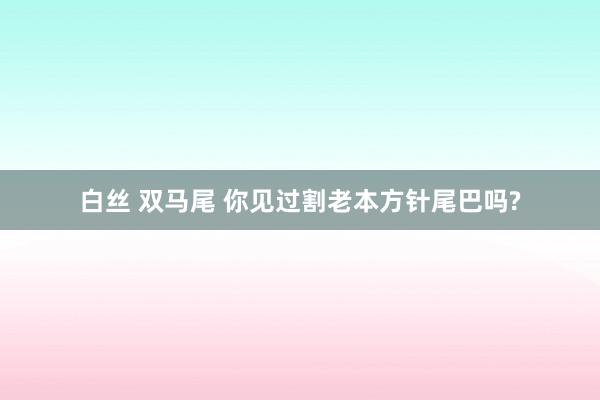 白丝 双马尾 你见过割老本方针尾巴吗?