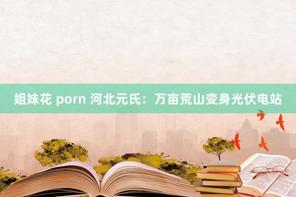 姐妹花 porn 河北元氏：万亩荒山变身光伏电站