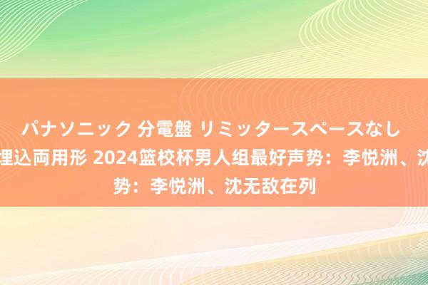 パナソニック 分電盤 リミッタースペースなし 露出・半埋込両用形 2024篮校杯男人组最好声势：李悦洲、沈无敌在列