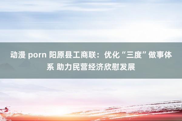 动漫 porn 阳原县工商联：优化“三度”做事体系 助力民营经济欣慰发展