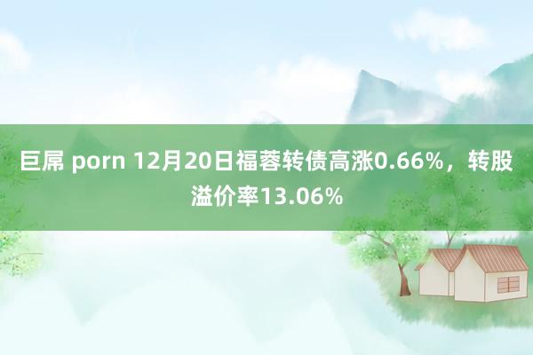 巨屌 porn 12月20日福蓉转债高涨0.66%，转股溢价率13.06%