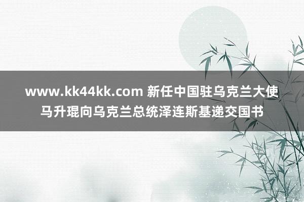 www.kk44kk.com 新任中国驻乌克兰大使马升琨向乌克兰总统泽连斯基递交国书