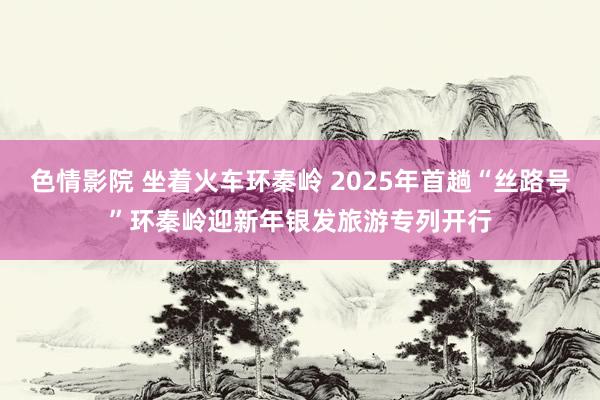 色情影院 坐着火车环秦岭 2025年首趟“丝路号”环秦岭迎新年银发旅游专列开行