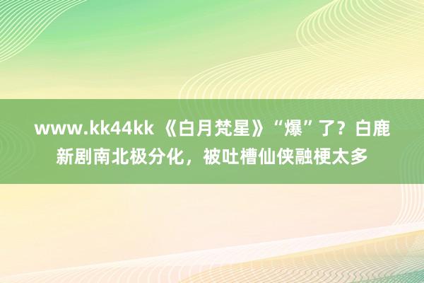 www.kk44kk 《白月梵星》“爆”了？白鹿新剧南北极分化，被吐槽仙侠融梗太多