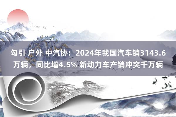 勾引 户外 中汽协：2024年我国汽车销3143.6万辆，同比增4.5% 新动力车产销冲突千万辆