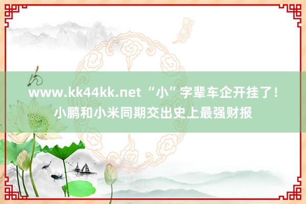 www.kk44kk.net “小”字辈车企开挂了！小鹏和小米同期交出史上最强财报